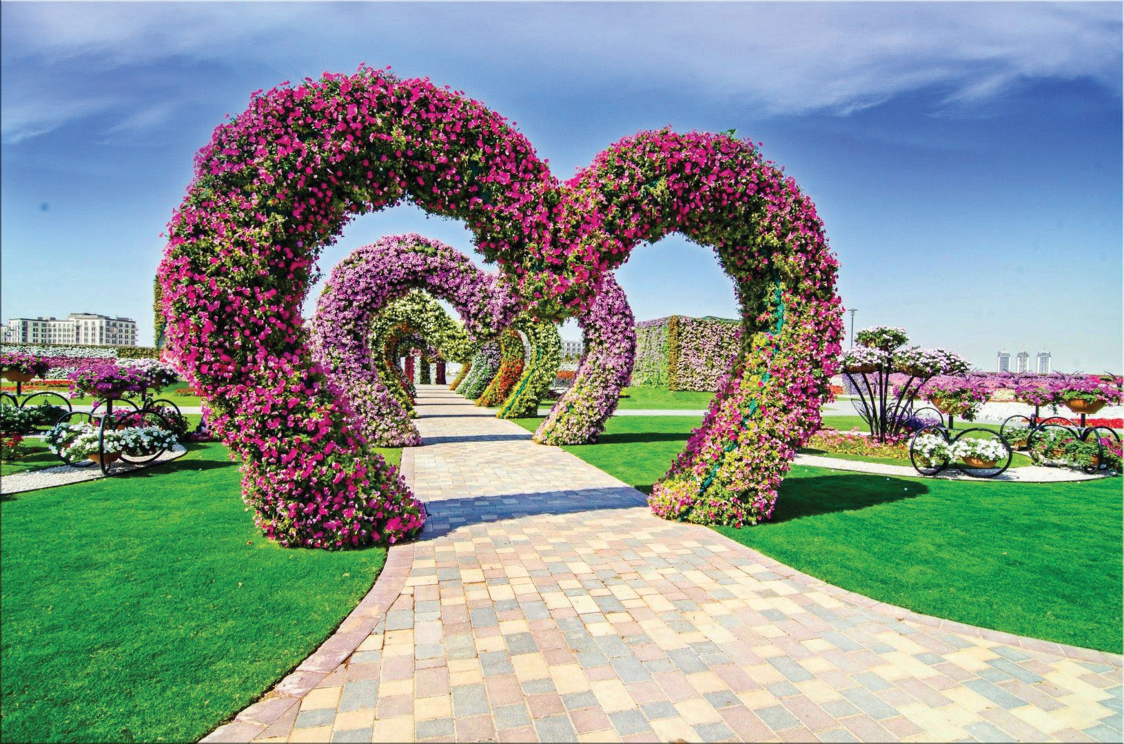 Visiting the Dubai Miracle Garden + 25 Pictures That'll Inspire Your Visit  - My Toronto, My World